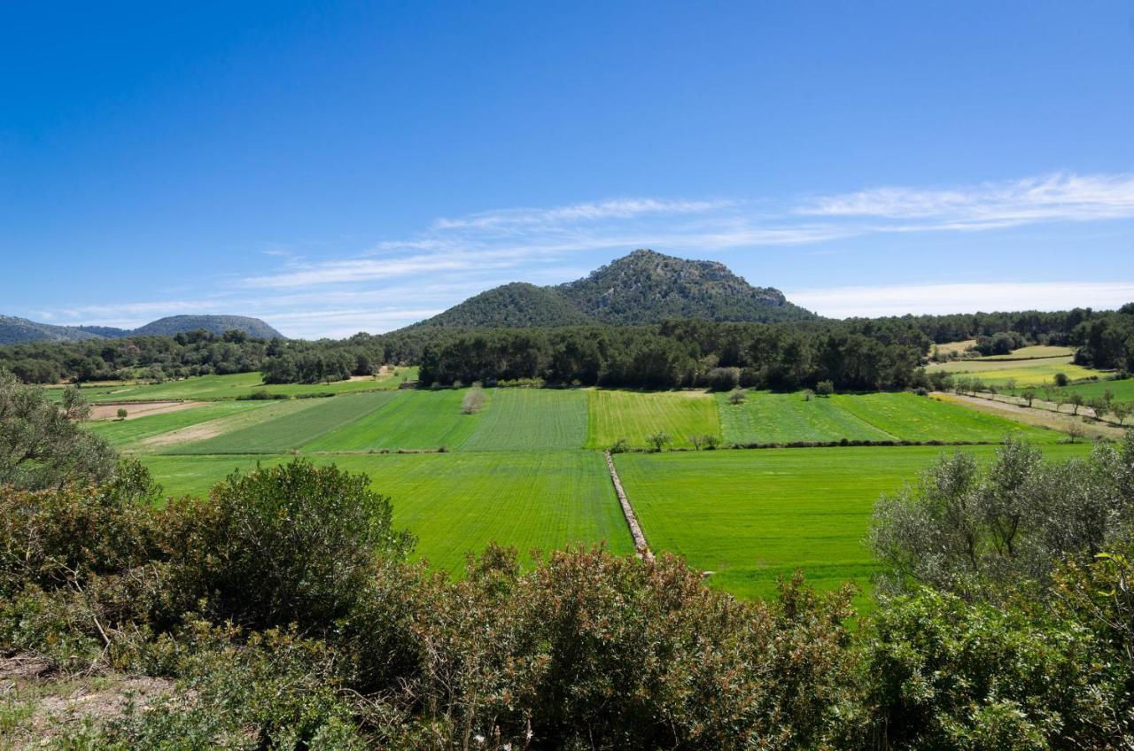 Can Gallot De Punxuat Algaida  Exterior photo